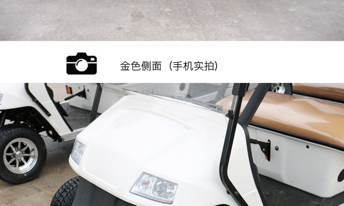 8座高尔夫球车_10.jpg