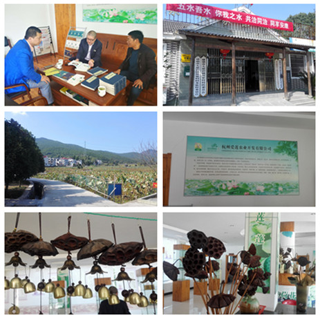 微信图片_20171025141938_副本.jpg