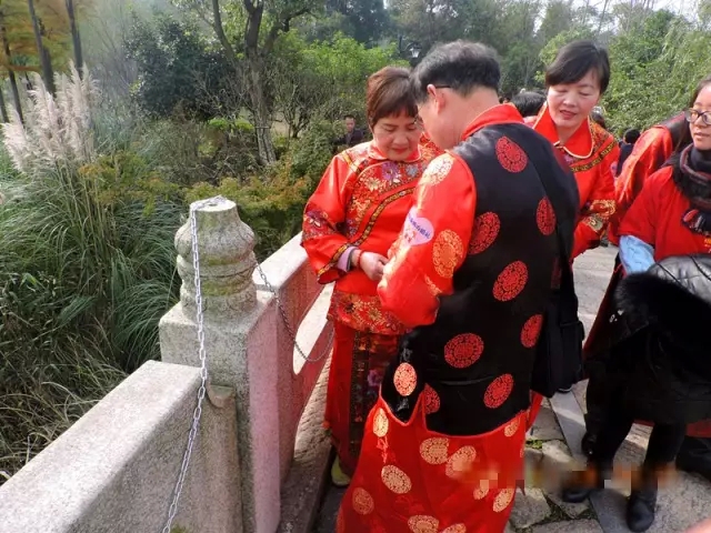 64011.webp.jpg