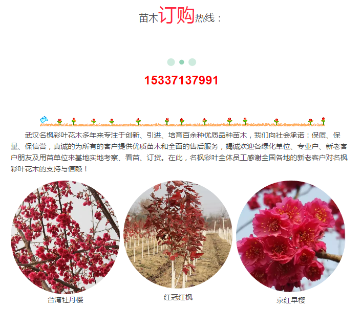 QQ截图20171221090937.png