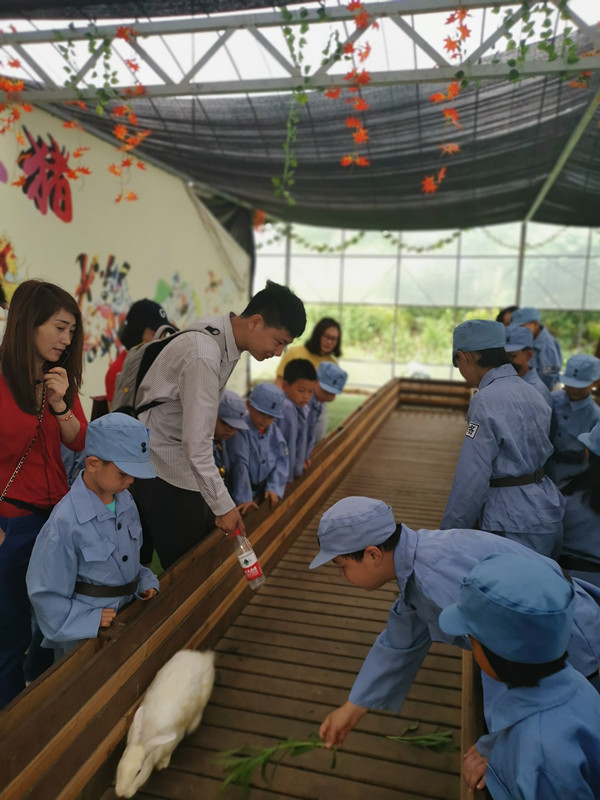 微信图片_20190603144750_副本.jpg