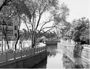 杭州32条河道“刷新”颜值精彩亮相
