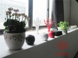 环境
