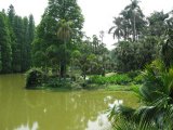  华南植物园