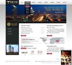 泰德中国