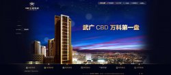 万科金城华府