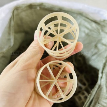 山東氟化工PVDF鮑爾環填料