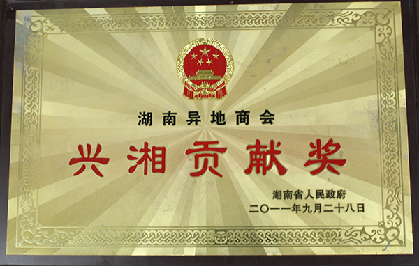 兴湘贡献奖（2011）